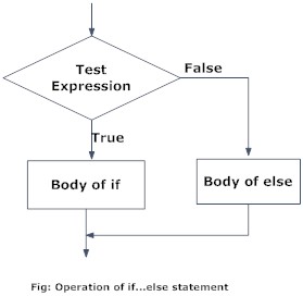 Flowchart of if...else in R Programming